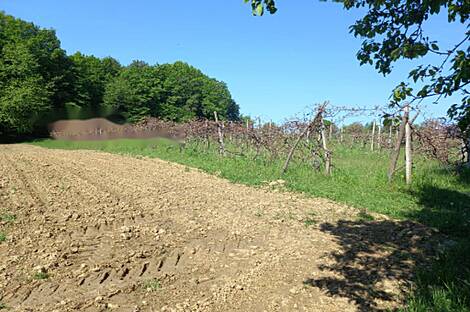 Дом, Мо́щанцы: 8