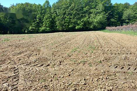 Дом, Мо́щанцы: 9