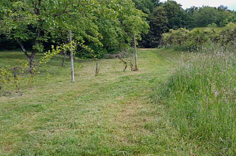 Дом, Мо́щанцы: 12