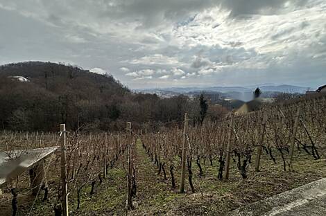 Дом, Древеник: 4