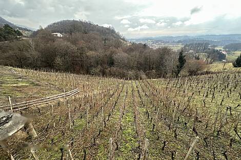 Дом, Древеник: 18