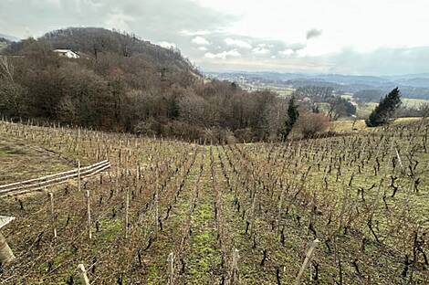 Дом, Древеник: 19