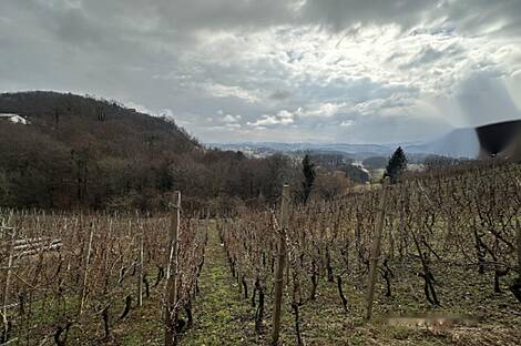 Дом, Древеник: 21