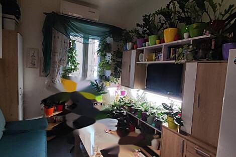 Небольшая квартира у побережья в Пиране: 3