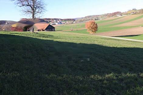 Усадьба Юровский Дол в Кметияново.: 29