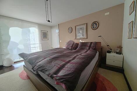 Дом, Шишка: 9