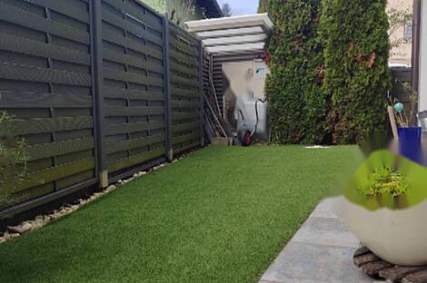 Дом, Шишка: 19