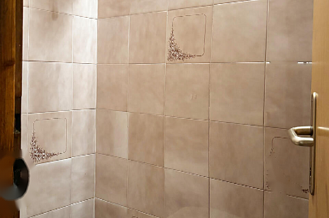 Шишка, 3-комнатная квартира: 7