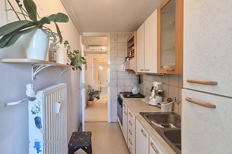 Двухкомнатная квартира в Новая Шишка: 1