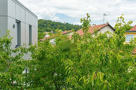 Трехкомнатная квартира в Рожна Долине.: 4