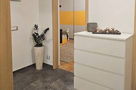 Трёхкомнатная квартира, Ново Подутика, Любляна.: 15