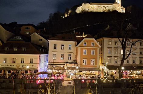 Апартаменты в центре Любляны: 1