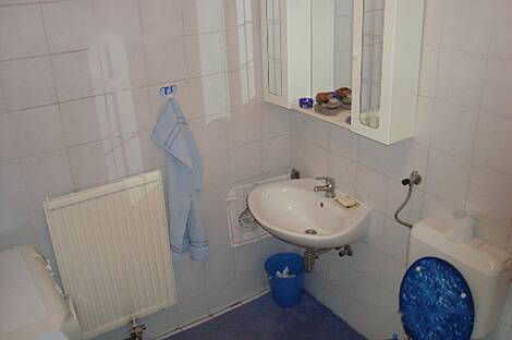 Студия-квартира Шишка: 7