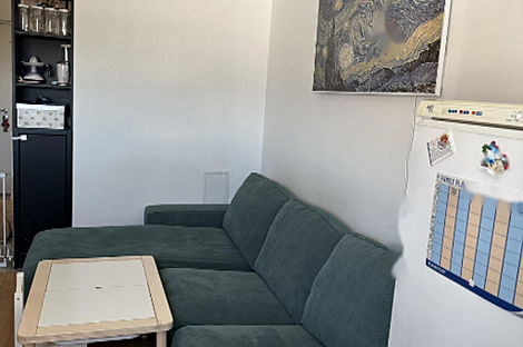 Жилье на две комнаты Шишка: 4