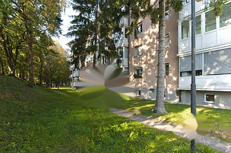 Четырехкомнатная квартира в Новая Лубляна, район Шишка: 17