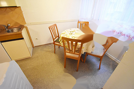 Трёхкомнатная квартира Вратача: 5