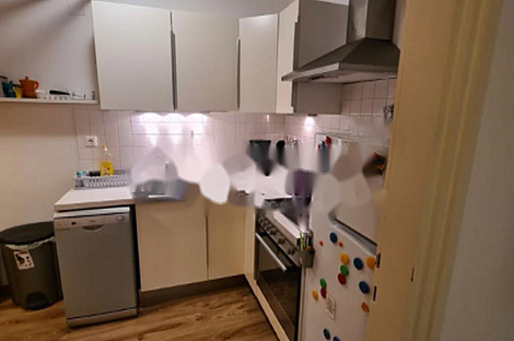 Дом с более чем пятью комнатами в Белграде: 11