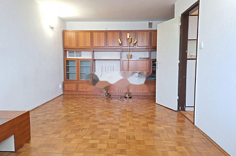 Трёхкомнатная квартира Шишка: 9