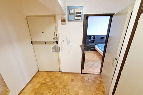 Трёхкомнатная квартира Шишка: 14