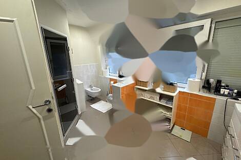 Трехкомнатная квартира Шишка: 5