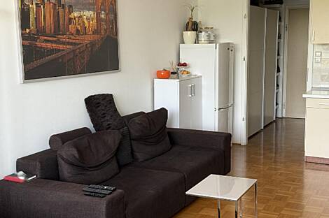 Однокомнатная квартира Шишка: 6