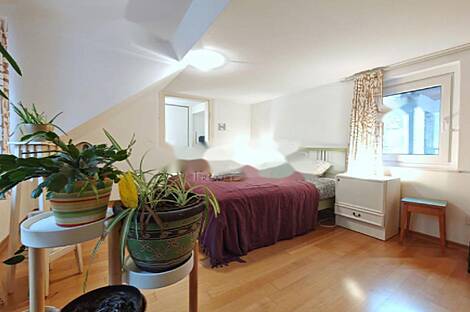 Апартаменты в исторической части Любляны: 22