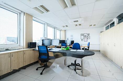 Дом под офис, Шишка: 1