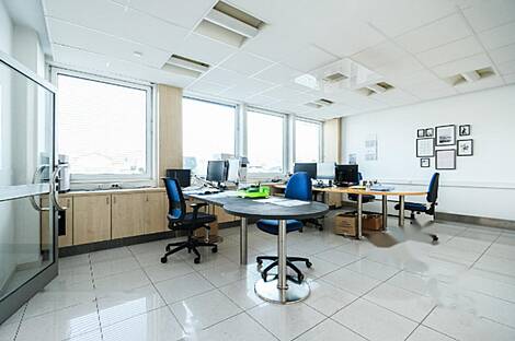 Дом под офис, Шишка: 2