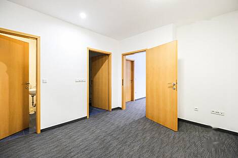 Дом под офис, Шишка: 8