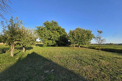 Жилье с террасой НовыйМиховцы: 8