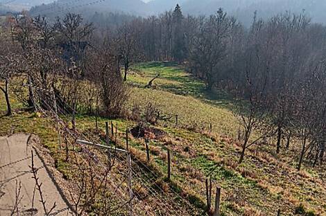 Дом, Почта Шентьянж: 19