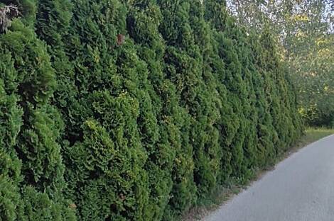 Дом в Бизелско: 1