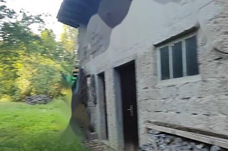 Дом в Бизелско: 9