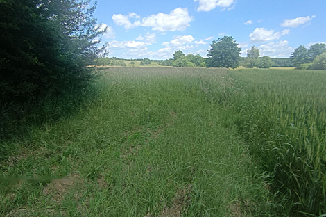 Дом, ферма Кобиле: 6