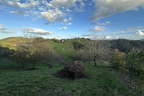 Дом в деревне Градища: 7