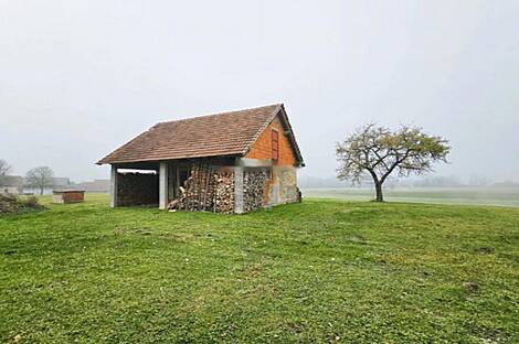 Дом, хозяйство Ново-Ставешинцы: 5