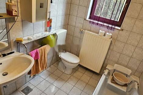 Дом, хозяйство Ново-Ставешинцы: 13