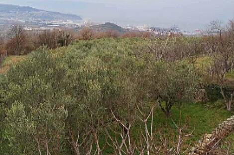 Дом в местечке Верхние Шкофии.: 8