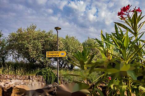 Жилище в Св. Петер.: 9