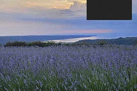 Жилище в Св. Петер.: 15