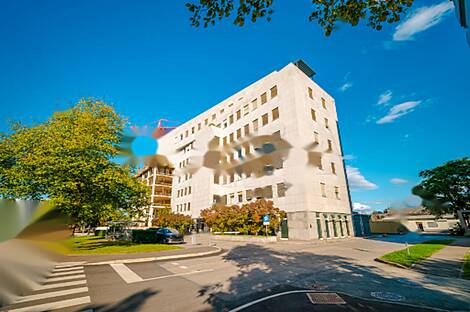 Торговый объект Шишка: 1