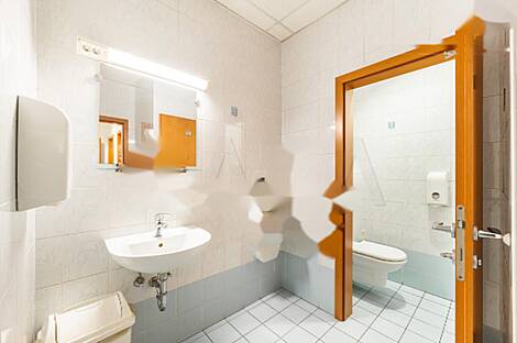 Торговый объект Шишка: 7