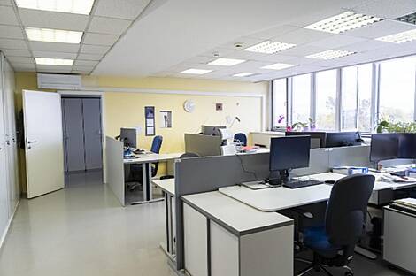 Рабочее пространство под названием 'Шишка': 8