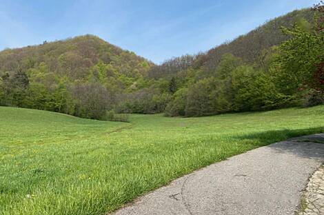 Дом в Козминцах возле Птуя: 13