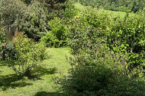 Дом с террасой на Руднике: 5