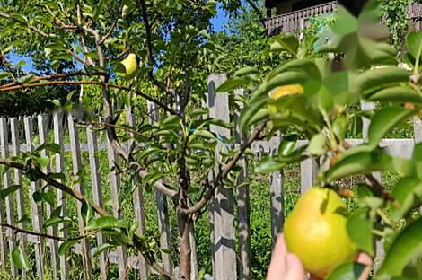 Жилище, Новая Гора, 18Б: 5