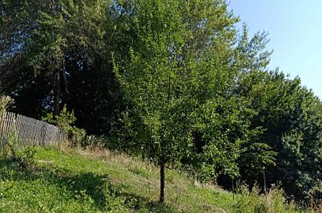 Жилище, Новая Гора, 18Б: 15