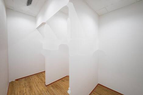 Дом в деловом районе Центр: 8