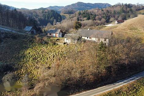 Дом, сельское хозяйство Златече.: 3