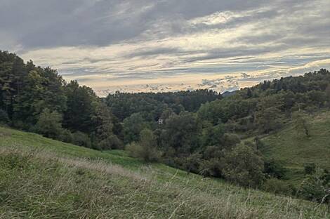 Дом, сельское хозяйство Златече.: 9